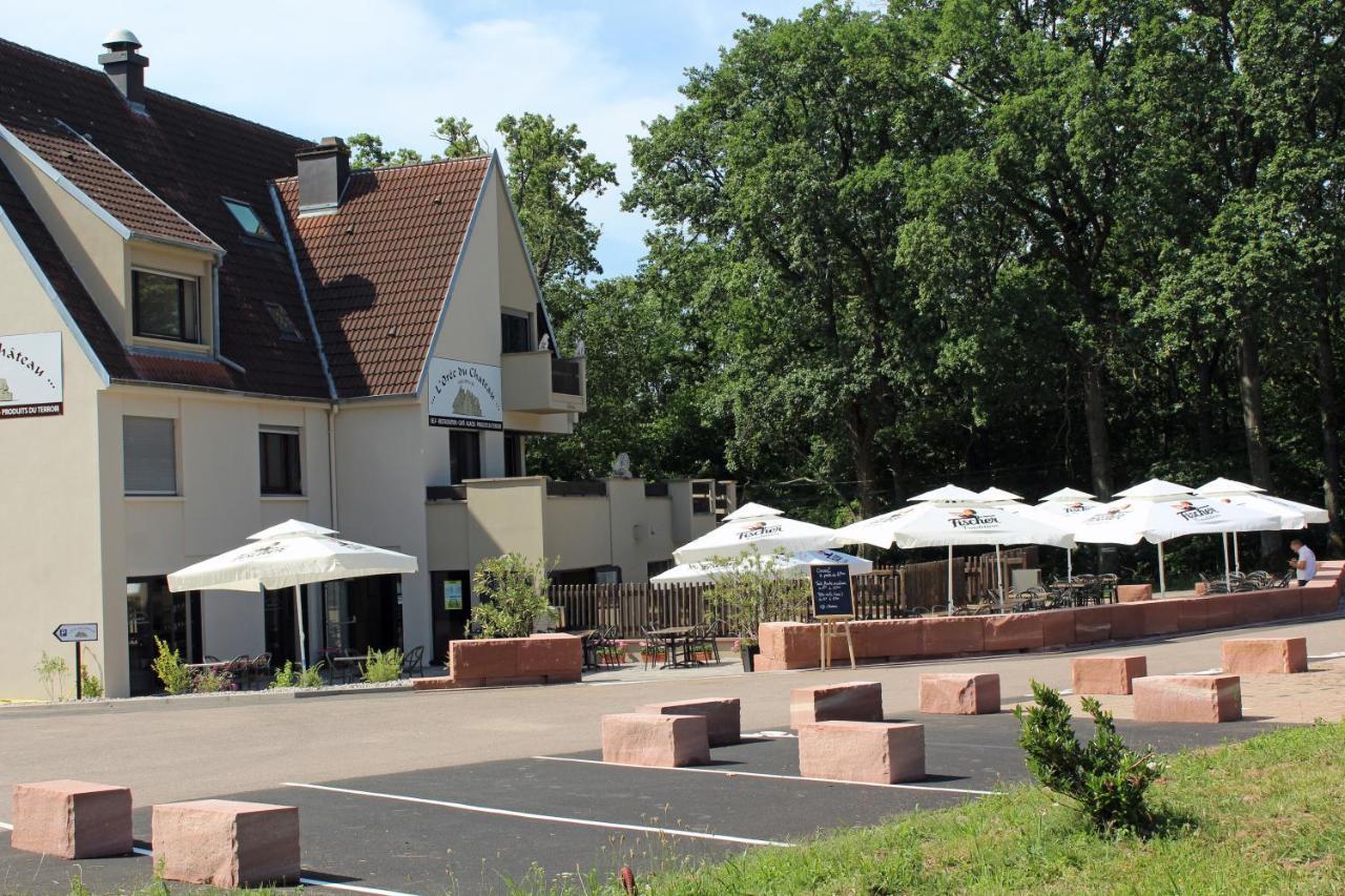 Gîte L'Orée du Château - Appartement Potiron Orschwiller Exterior foto